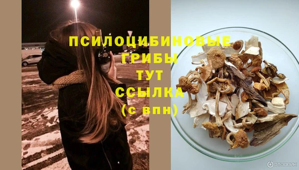 прущий лед Новодвинск